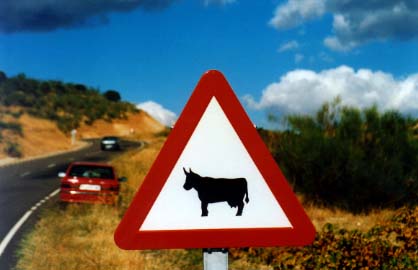 cow sign